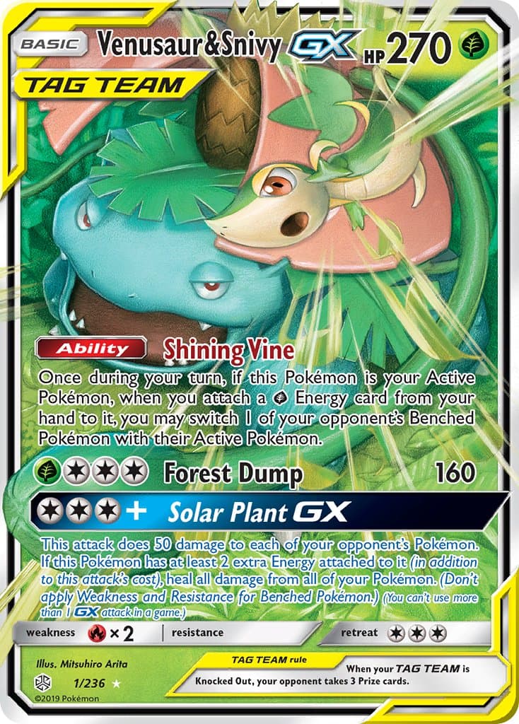 Venusaur & Snivy-GX (CEC #1) Pokemon Card